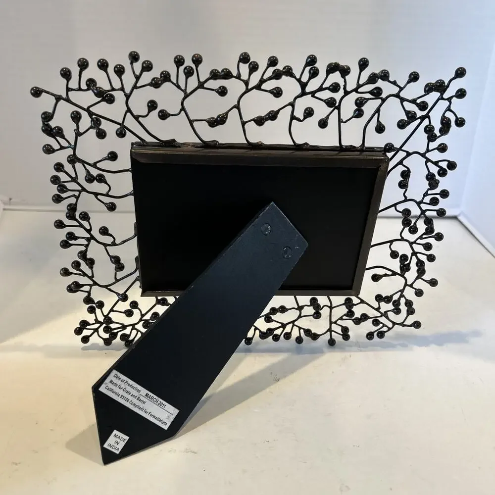 Crate & Barrel 4x6 Ornate Wire Branches Design Bronze Picture Frame